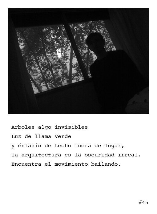 Poema 45