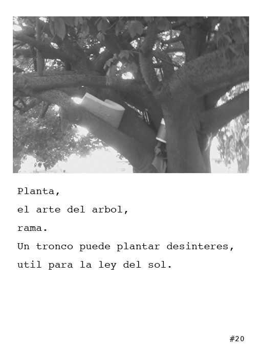 Poema 20