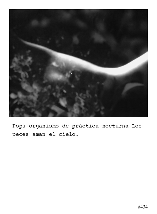 Poema 434