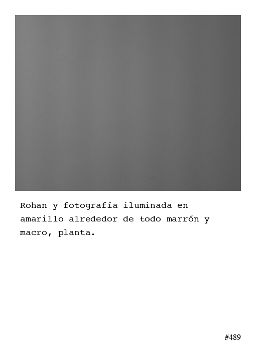 Poema 489