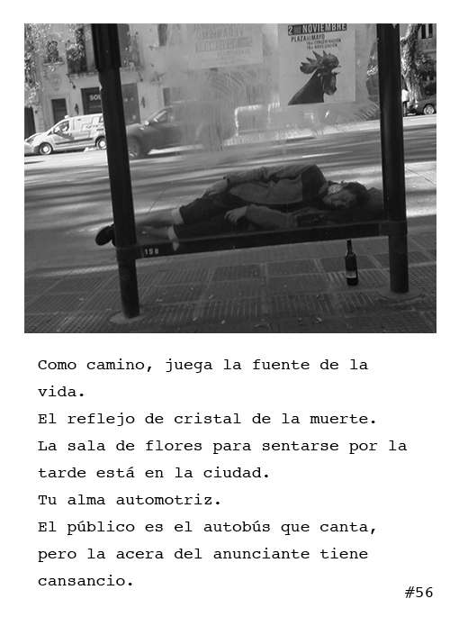 Poema 56