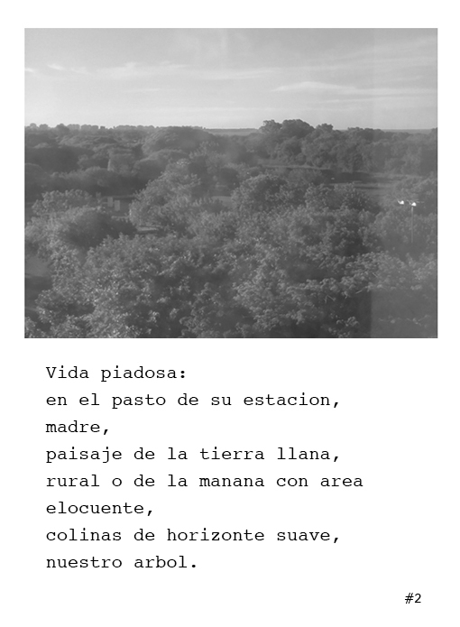 Poema 2