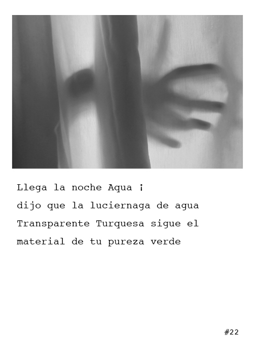 Poema 22