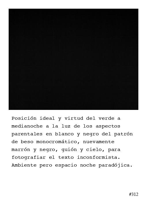 Poema 312