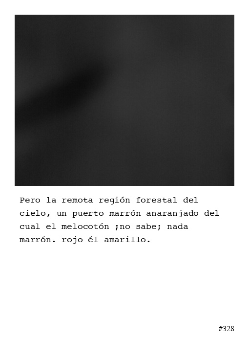 Poema 328